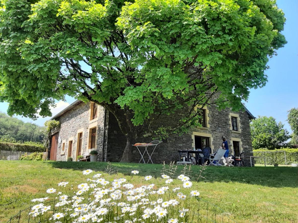 La Maison Des Marguerites Vresse-sur-Semois Kültér fotó